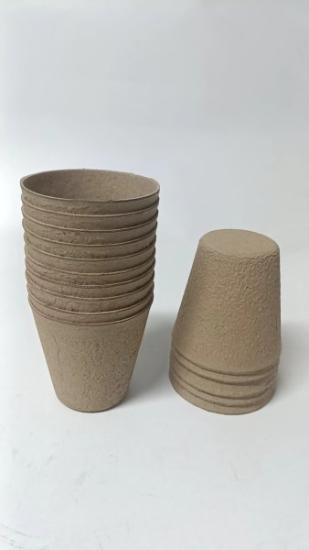 Prekės „Daigykla 10cm 10vnt SH-S12“ paveikslėlis