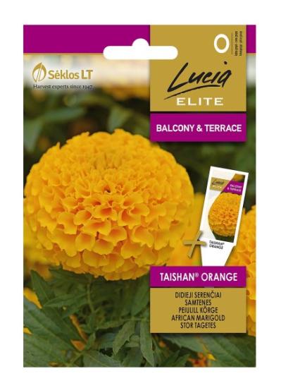 Prekės „Sėklos serenčiai Thaisan orange“ paveikslėlis