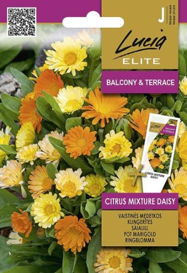 Prekės „Sėklos medetkos Citrus mixt.Daisy“ paveikslėlis