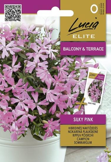 Prekės „Sėklos naktižiedės hib.Silky Pink“ paveikslėlis