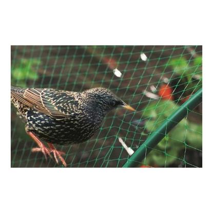 Prekės „Tinklas nuo paukščių 5x10m GardenLine“ paveikslėlis
