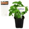 Prekės „Žymekliai augalams 30vnt Garden Line“ paveikslėlis