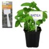 Prekės „Žymekliai augalams 8vnt Garden Line“ paveikslėlis