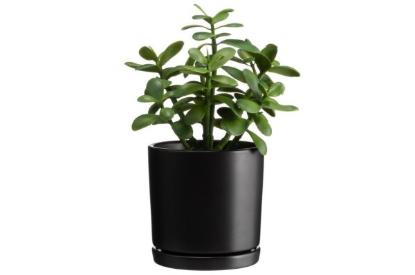 Prekės „Vazonas keramika15cm juodas Tapiola 4Living“ paveikslėlis