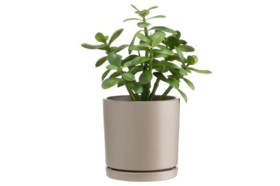 Prekės „Vazonas keramika15cm greige Tapiola 4Living“ paveikslėlis