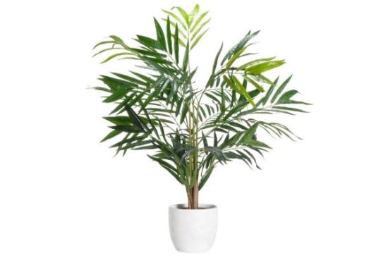 Prekės „Vazonas keramika 20cm baltas Lotus 4Living“ paveikslėlis