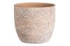Prekės „Vazonas keramika 20cm beige Lotus 4Living“ paveikslėlis
