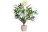Prekės „Vazonas keramika 20cm beige Lotus 4Living“ paveikslėlis