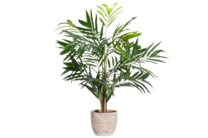 Prekės „Vazonas keramika 20cm beige Lotus 4Living“ paveikslėlis