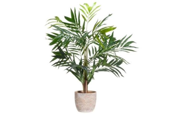 Prekės „Vazonas keramika 20cm beige Lotus 4Living“ paveikslėlis