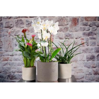Prekės „Vazonas pilkas 21cm Pillar lava“ paveikslėlis