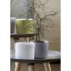 Prekės „Vazonas baltas 14cm Calla 991“ paveikslėlis
