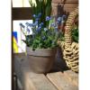 Prekės „Vazonas bazaltas 26cm Levante“ paveikslėlis