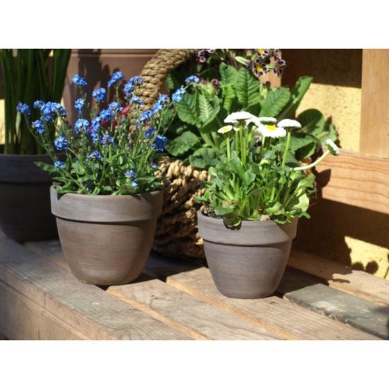 Prekės „Vazonas bazaltas 26cm Levante“ paveikslėlis