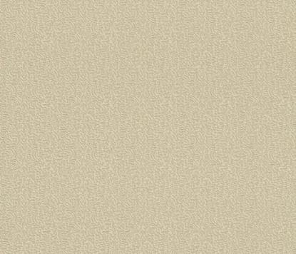 Prekės „Tapetai Rasch 575163 0,70x10m“ paveikslėlis