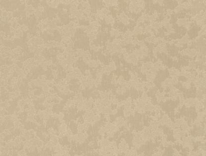 Prekės „Tapetai Rasch 575538 0,70x10m“ paveikslėlis