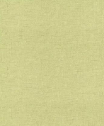 Prekės „Viniliniai tapetai, flizelino pagrindu Rasch 716962 0,53x10m“ paveikslėlis
