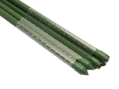 Prekės „Stiebas augalų parišimui 16mmx180cm 2 Tarmo“ paveikslėlis