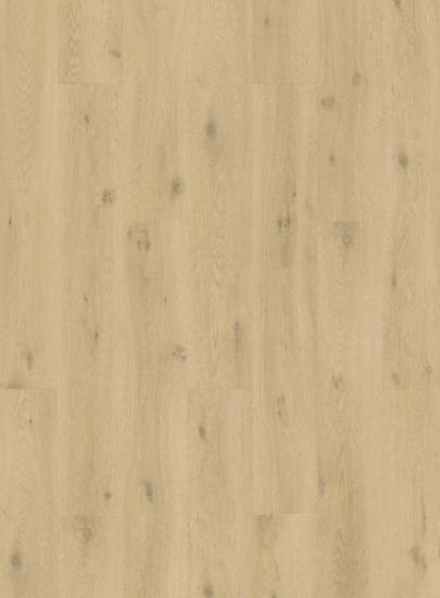 Prekės „Vinilinės grindys Quick Step, Ocean bliss natural, SGSPC20313, 1219,2x184,15x2,5mm, 33 klasė, klijuojamas, Liv kolekcija“ paveikslėlis