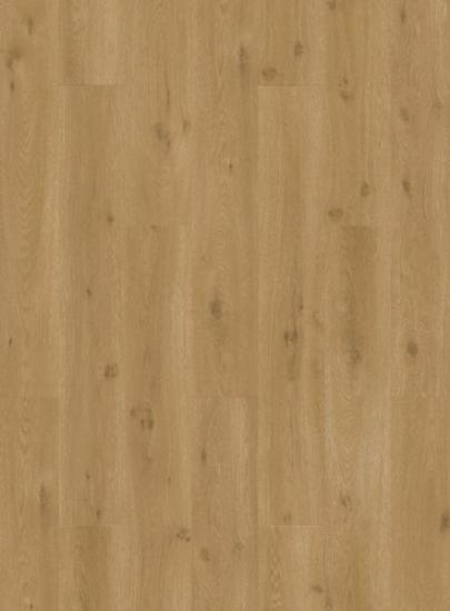 Prekės „Vinilinės grindys Quick Step, Ocean bliss warm honey, SGSPC20314, 1219,2x184,15x2,5mm, 33 klasė, klijuojamas, Liv kolekcija“ paveikslėlis