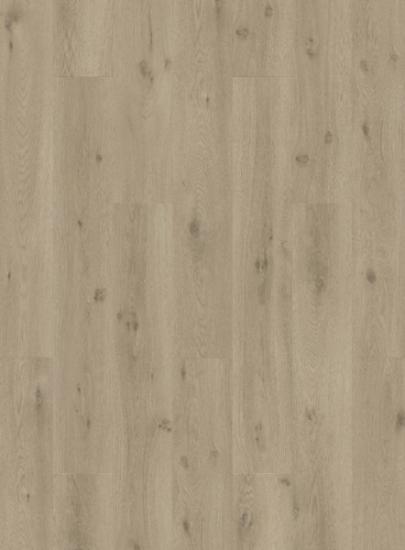 Prekės „Vinilinės grindys Quick Step, Ocean bliss warm taupe, SGSPC20318, 1219,2x184,15x2,5mm, 33 klasė, klijuojamas, Liv kolekcija“ paveikslėlis