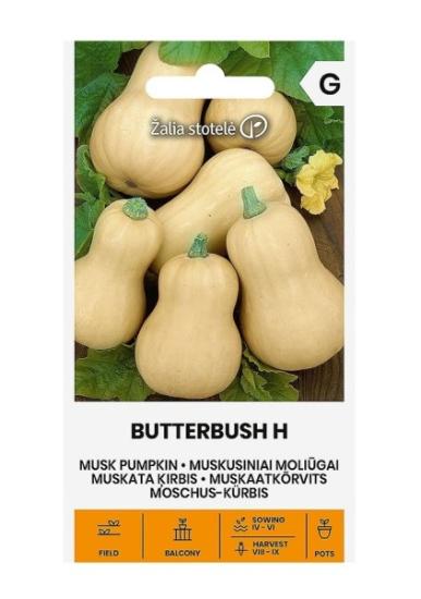 Prekės „Sėklos moliūgai muskusiniai BUTTERBUSH H“ paveikslėlis