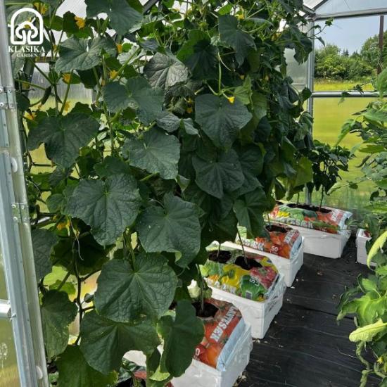Prekės „Dėžė augalų drėkinimo, laistymo Garden Basic Klasika“ paveikslėlis