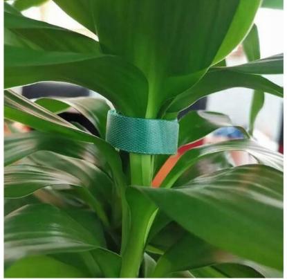 Prekės „Juosta parišimui velcro 1cm x 5m : 2 vnt po 2,5 m Garden Line“ paveikslėlis