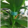Prekės „Juosta parišimui velcro 1cm x 5m : 2 vnt po 2,5 m Garden Line“ paveikslėlis