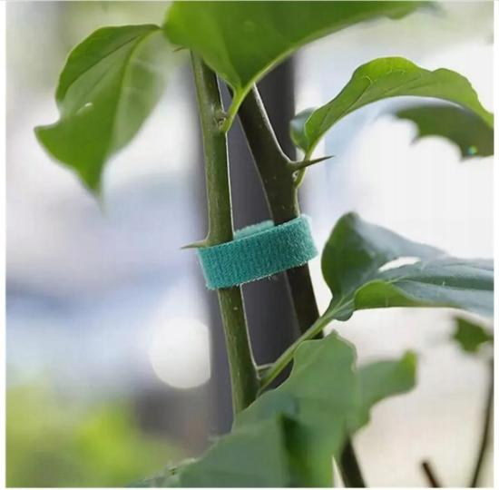 Prekės „Juosta parišimui velcro 1cm x 5m : 2 vnt po 2,5 m Garden Line“ paveikslėlis