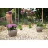 Prekės „Vazonas Kula Basalt 12cm Cermax“ paveikslėlis