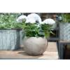 Prekės „Vazonas Kula Basalt 14cm Cermax“ paveikslėlis