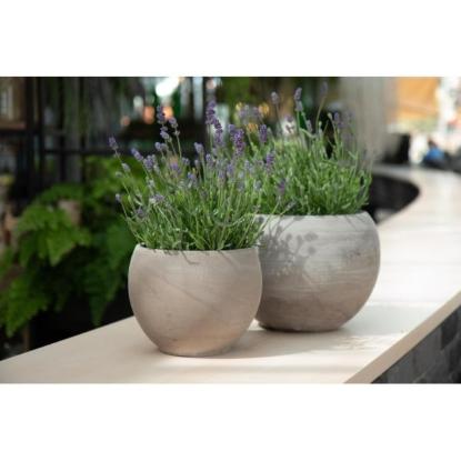 Prekės „Vazonas Kula Basalt 17cm Cermax“ paveikslėlis