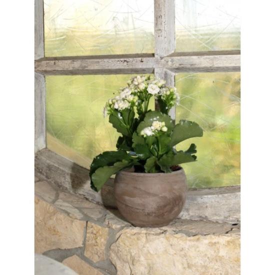 Prekės „Vazonas Kula Basalt 17cm Cermax“ paveikslėlis