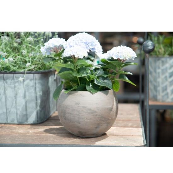 Prekės „Vazonas Kula Basalt 20cm Cermax“ paveikslėlis