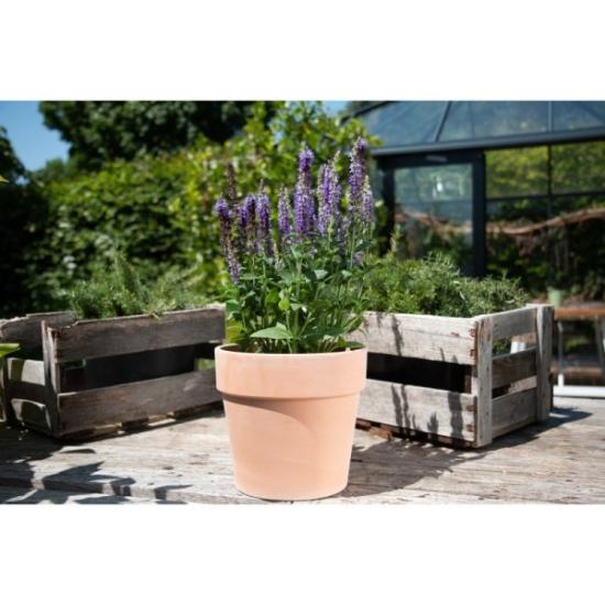 Prekės „Vazonas Calima Antyk 19cm Cermax“ paveikslėlis