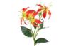 Prekės „Gėlė dekoratyvinė 65cm Gloriosa 4Living“ paveikslėlis