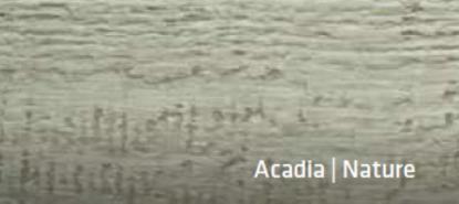 Prekės „Silikonas sandarinimui CanExel Acadia (300ml)“ paveikslėlis
