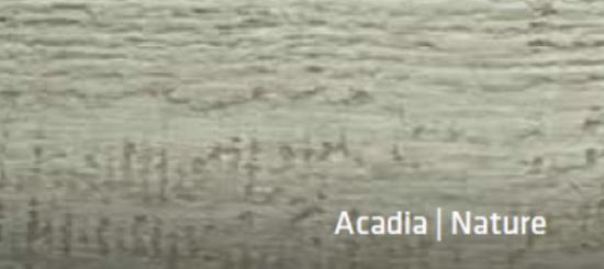 Prekės „Silikonas sandarinimui CanExel Acadia (300ml)“ paveikslėlis