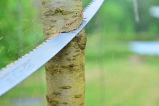 Prekės „Genėjimo pjūklas 9 TPI, 330 mm“ paveikslėlis