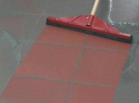 Prekės „Žarstyklė, guminė, dviguba, pakeičiamu padu, 50cm“ paveikslėlis