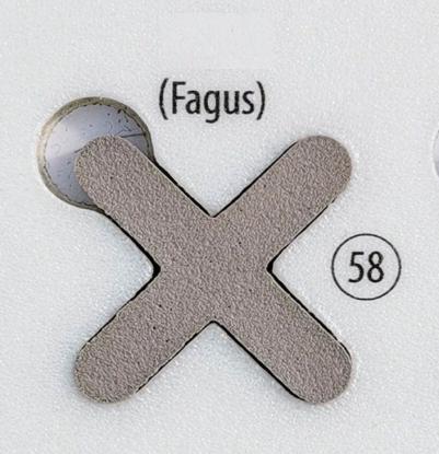Prekės „Fugalite Bio Parquet Fagus 58, 3 kg (A+B) epoksidinis glaistas medžio imitacijos plytelėms“ paveikslėlis
