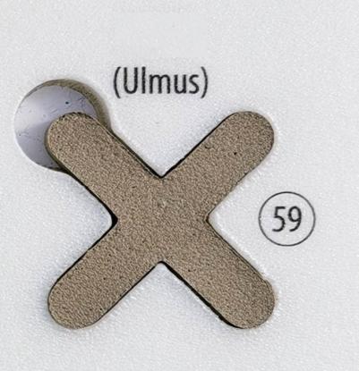 Prekės „Fugalite Bio Parquet ulmus 59, 3 kg epoksidinis glaistas“ paveikslėlis