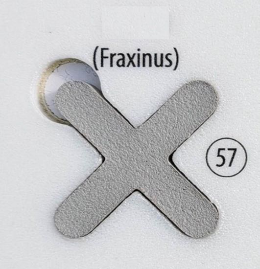 Prekės „Fugalite Bio Parquet fraxinus 57, 3 kg (A+B) epoksidinis glaistas medžio imitacijos plytelėms“ paveikslėlis