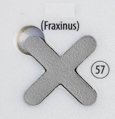Prekės „Fugalite Bio Parquet fraxinus 57, 3 kg (A+B) epoksidinis glaistas medžio imitacijos plytelėms“ paveikslėlis
