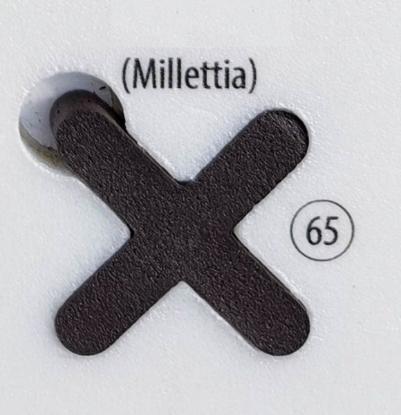 Prekės „Fugalite Bio Parquet millett 65, 3 kg (A+B) epoksidinis glaistas medžio imitacijos plytelėms“ paveikslėlis