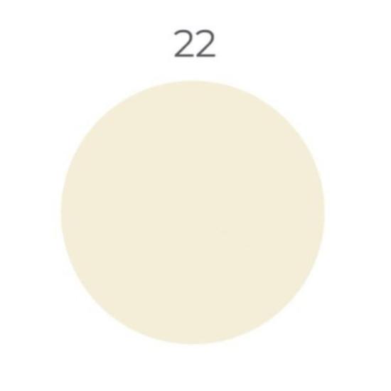 Prekės „Silicone Color 22, 310 ml hermetikas silikoninis antipelėsinis“ paveikslėlis