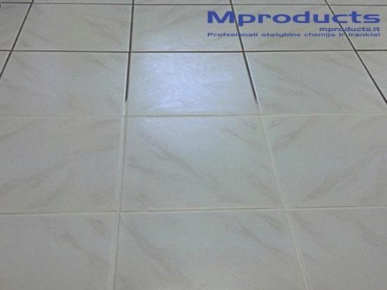 Prekės „FILA FUGANET, 500 ml valiklis cementiniam glaistui“ paveikslėlis