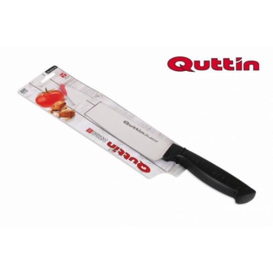 Prekės „Peilis 20cm QT-706011V“ paveikslėlis