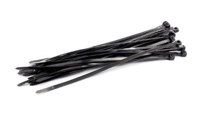 Prekės „Nailono dirželiai 4,6x120mm 100vnt Juodi“ paveikslėlis